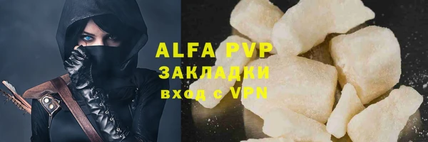 PSILOCYBIN Аркадак