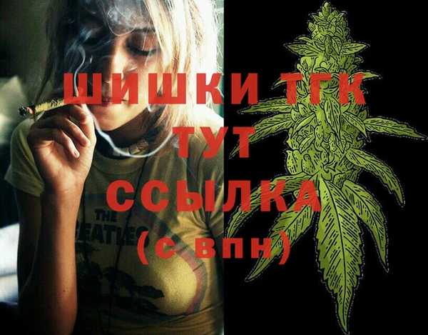 PSILOCYBIN Аркадак